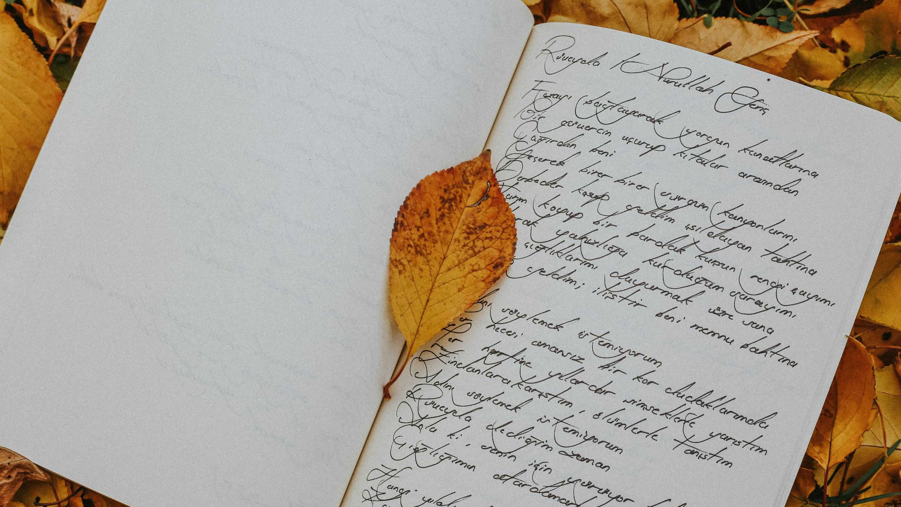 28 April Jadi Hari Puisi Nasional, Ini Makna dan Kisah Pencetusnya di Indonesia